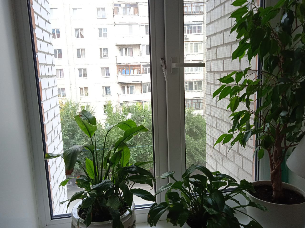 https://anapa.delaem-okna.ru/storage/app/uploads/public/63f/332/8c0/63f3328c0d6f7867060515.jpg